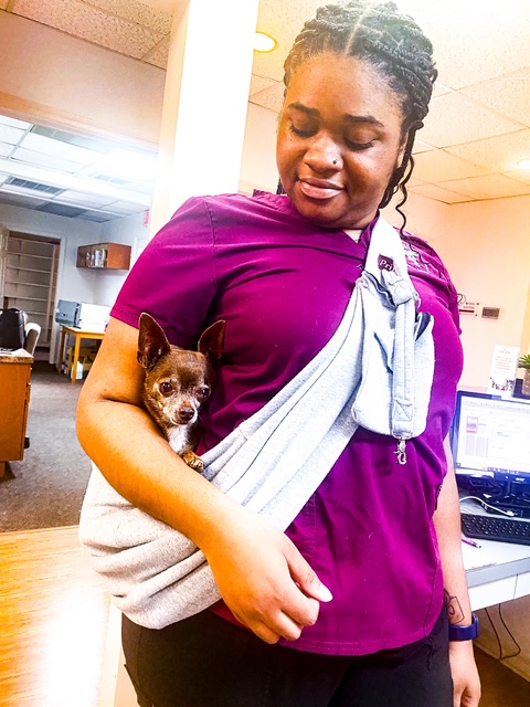 In-House Diagnostics/Lab Work